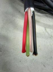 PH_79[1].jpg
