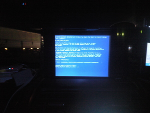 CA390458.JPG