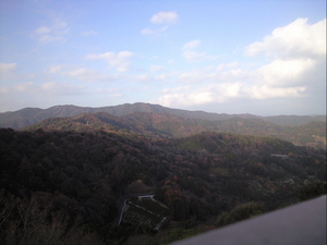 CA390470.JPG