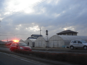 DSC04252.JPG
