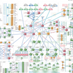 Interop2014開幕　（Shownetは10年先も耐えれるかがテーマ
