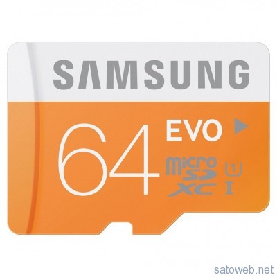 64GB_SD_ZVFtd5MIL._SL1003_