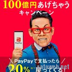 Paypay「100億あげちゃう」キャンペーン が12/13で終了。