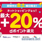 d払いでふるさと納税ができるようになっていたのでやってみた。